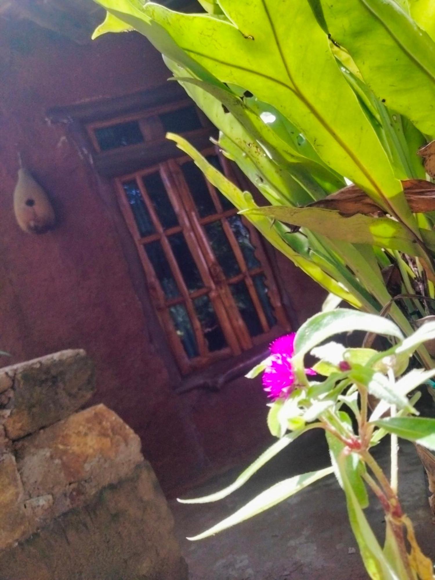Ella Bay Homestay 외부 사진